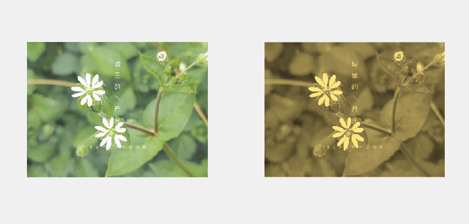 这里是怀旧色变换的图片