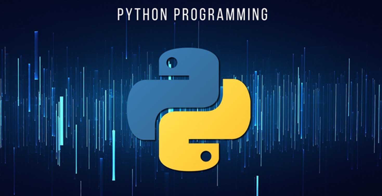 python 这里是python图